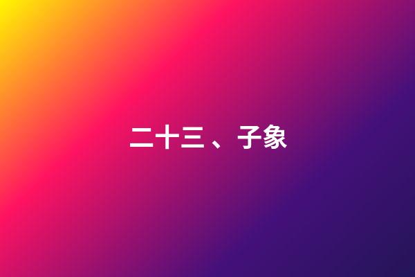 二十三、子象